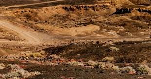 传射建功助巴西取胜！西媒：拉菲尼亚在巴西和巴萨均展现领导能力